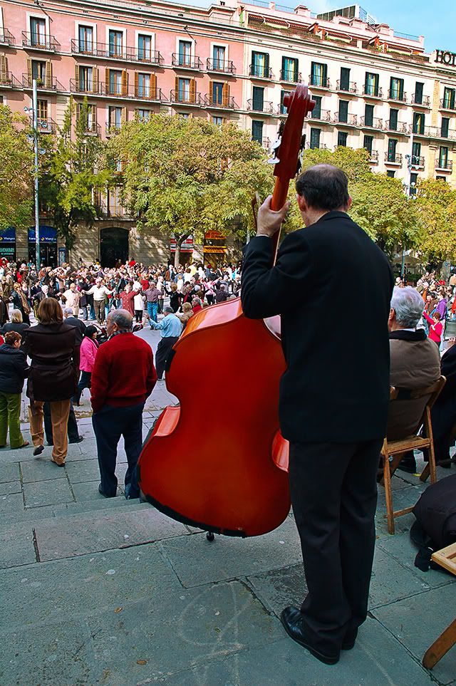 Contrabass player at Barcelona Cathedral and sardana dancers[enlarge]