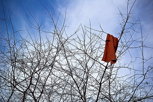 Dry towel over tree abstraction