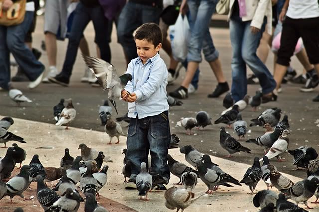 Kid Feeding Pigeons at Plaça Catalunya, Barcelona