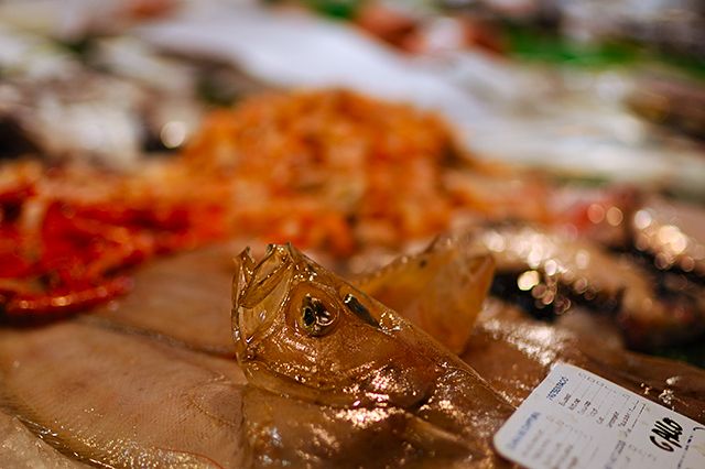 Megrim (Gallo) at Market Stall in Barcelona [enlarge]