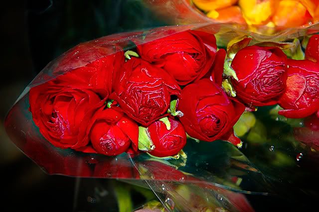Blowing Up The Color Scale: The Seduction of Red Roses in Las Ramblas, Barcelona[enlarge]
