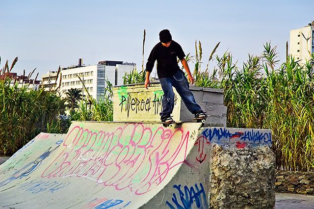 Skateboarding in Barcelona [enlarge]