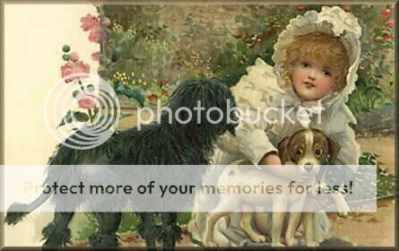 VINTAGE ANIMALS HISTORICAL IMAGES PHOTOS COLLECTION CD  