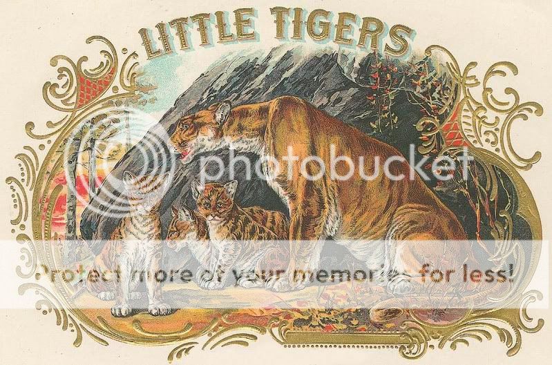 Vintage Animals Historical Images Photos Collection CD