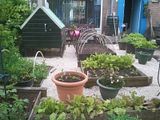 th_1357581092N2012_06_09_141523_zps3c563fb2.jpg