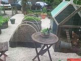 th_1357581159N2012_06_09_141811_zpsbb6e1328.jpg