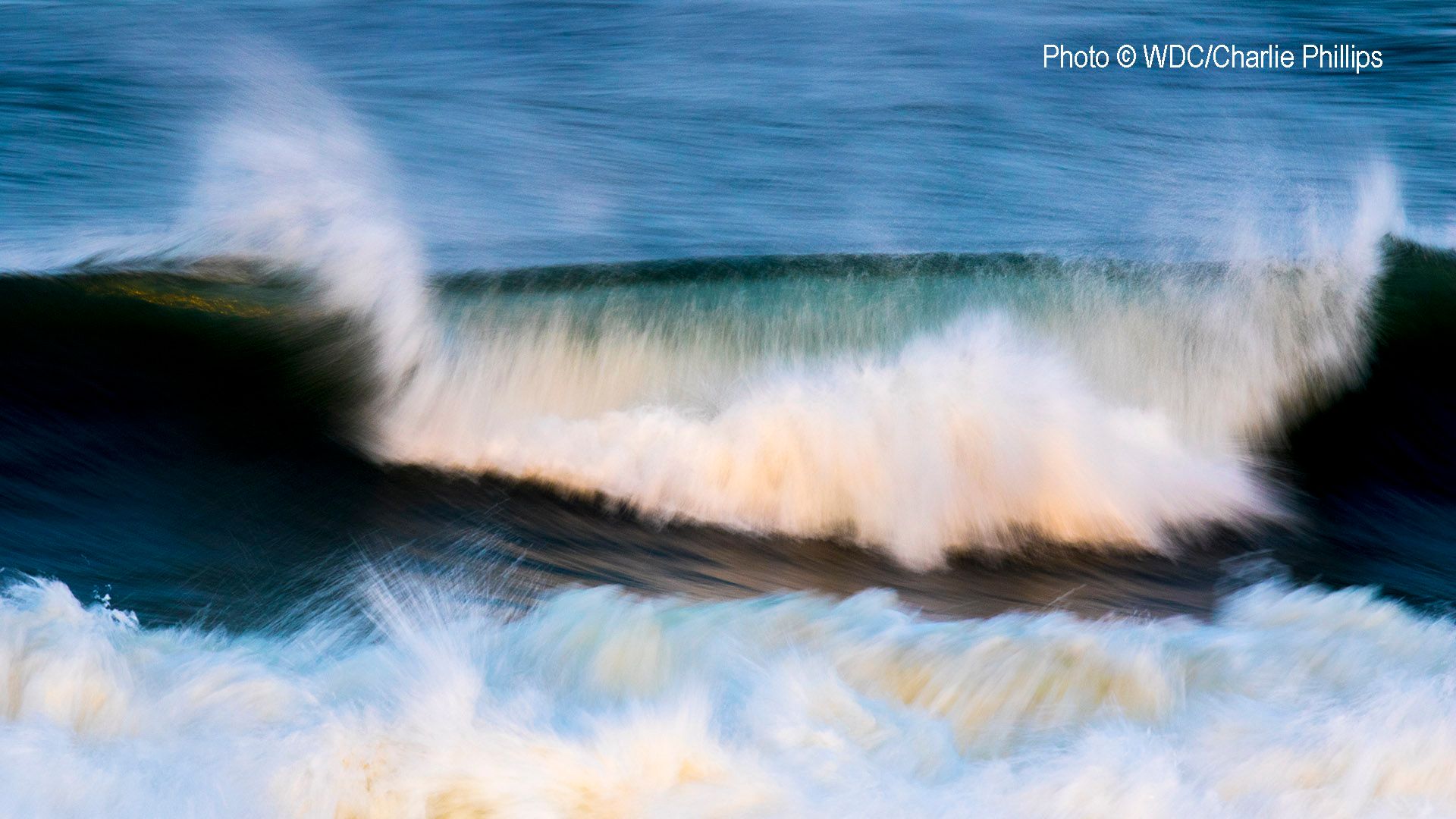  photo Lossie Waves.jpg