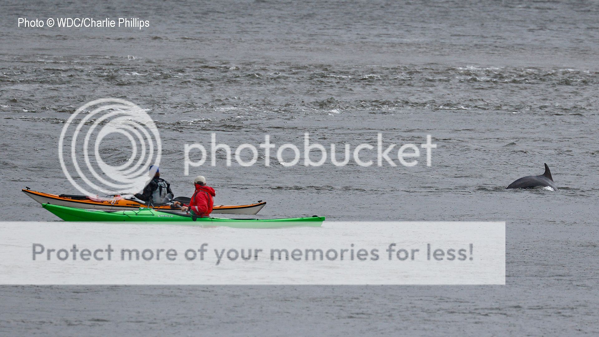  photo Rainy Charlie amp Kayaks.jpg